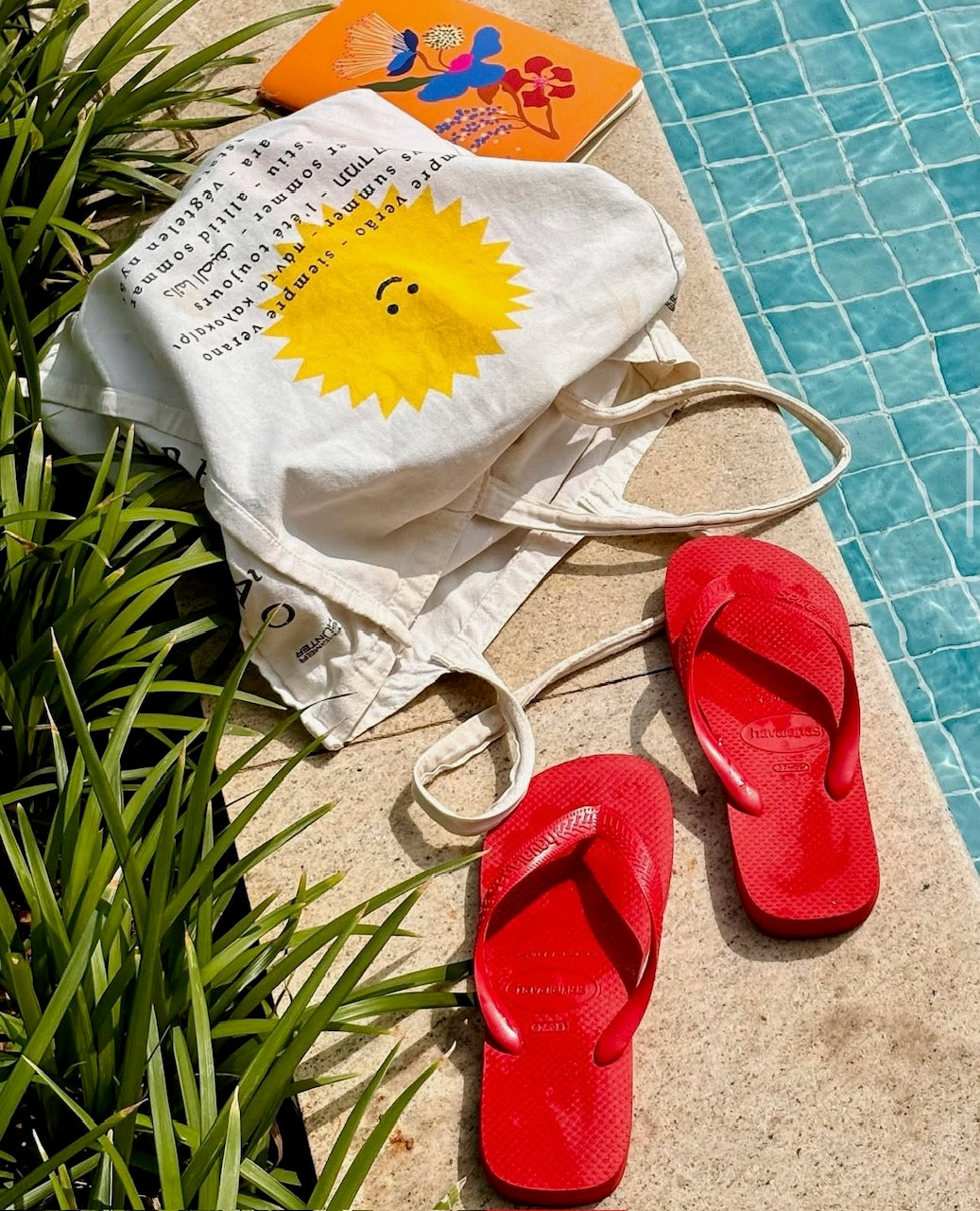 Havaianas Klipklappere - Hav Top Klip Klap i Ruby Red