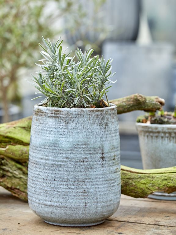 B-Green Interiør Vaser - Feline Vaser i Rose Mix Ø: 13cm