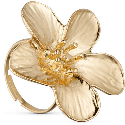 Tim & Simonsen Fingerring - TSJ369 Florentina Ring i Forgyldt